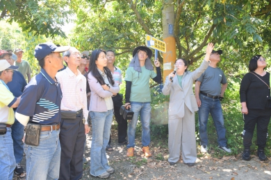 暖冬不愁龍眼沒開花  嘉義農業試驗分所改良氯酸鉀催花技術  舉辦技術發表會  助農民穩產