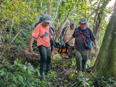 黑熊悲歌｜卓溪母熊受困陷阱，小熊徘徊周邊，左前肢遭套索壓迫呈中度腫脹，須住院治療觀察。