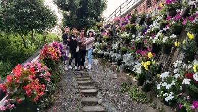 員林百果山湖水路391號﹁療癒的階梯﹂花園，為遊客假日常遊熱點。（照片記者周為政攝）
