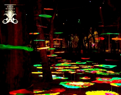 嘉義文化走向國際！「再。嘉義鄉村藝術行動」榮獲2025美國IAA繆思創意獎金獎殊榮！