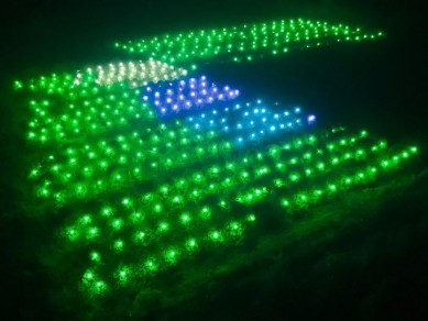 荔枝害蟲創新「綠光除蟲」安全又經濟