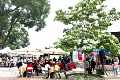 「白桐花與黑咖啡共舞」~雲林「2025古坑桐花祭-春天的桐話」浪漫登場 邀請全國民眾共賞〜