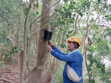 目擊小小黑熊在步道奔跑｜臺灣黑熊現蹤浸水營步道，創臺東最南、海拔最低紀錄！