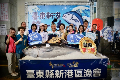 台東新港第一鮪｜重達208公斤，每公斤1980元拍出，總價高達 411,840元！