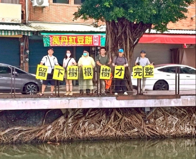 高市蓮池潭木棧道不拓寬保住「天空之城樹」