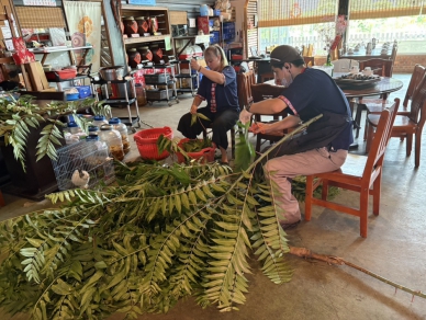 採香椿｜櫻田野養生休閒農莊養生廚娘陳櫻美變變變，樹葉變美食佐料！