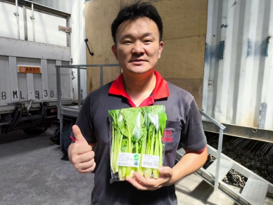 少校農夫｜退役軍官陳孝偉務農，臺東經營有機蔬菜通過認證成示範場域，開創職場第二春的一片天！