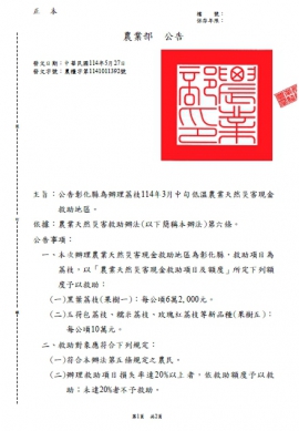 農業部公告彰化縣為「荔枝3月中旬低溫農業天然災害現金救助和低利貸款」縣市。（照片縣府提供）