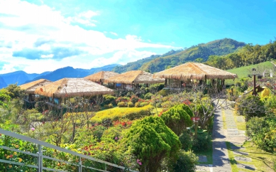 端午假期歡迎走進嘉義縣阿里山樂野部落 品茶、品咖啡、賞山景〜