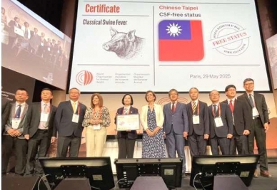 拔針成功！ 台灣正式成為亞洲唯一同時取得豬瘟、口蹄疫、非洲豬瘟三大豬病非疫國認證國家！