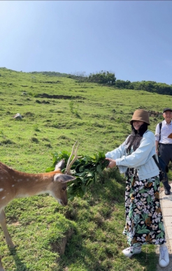 台版奈良｜大坵島，鹿世界，魔法療癒的隱世秘境，花蓮亞亞老師帶您去旅行！