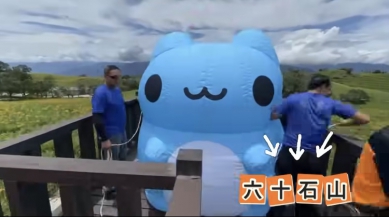 貓貓蟲咖波｜現蹤六十石山金針花海