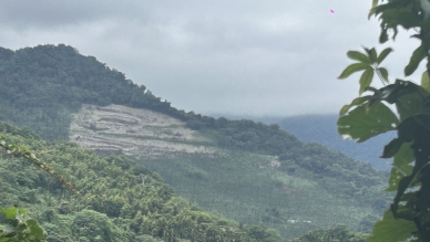 開腸破肚｜申請除草及清理樹頭，卑南鄉利家段山坡地出現大面積開挖整地行為，縣府勒令立即停工、依規裁罰並送檢偵辦。