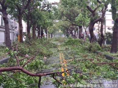 臺東市綠色隧道｜楊柳颱風造成多處路樹倒塌，阻斷雙向通行，迅速搶通。