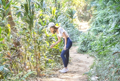 嘉義市後花園蘭潭後山步道 今天8/15起恢復開放〜