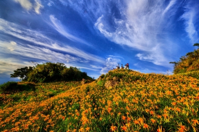 放眼世界。行銷花蓮｜安排外籍人士12人以上，在花蓮住宿至少2晚，以及前往任一指定旅遊項目，最高可申請每人4000元的獎勵金。