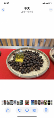 花蓮縣114年油茶籽評鑑開跑|8/29日前受理報名