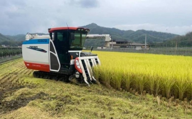 美濃冠軍米提供學校午餐農會認賠210萬