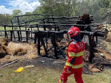 被火燒了｜卑南遺址史前住屋，臺東市文化公園茅草屋，一名男子被燙傷拒絕送醫！