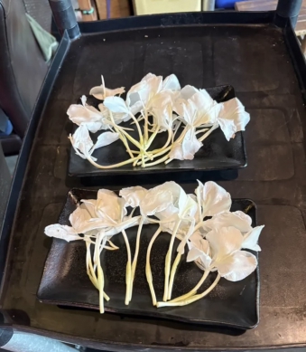 野薑花｜狀似白色的蝴蝶而得名蝴蝶花，香氣濃郁可觀賞也可以入菜食用、泡茶，吉安鄉櫻田野養生休閒農莊推出限量品嘗，消費者趨之若鶩。