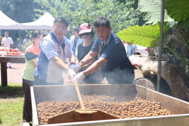 中寮龍眼文化季 集合健行推廣農產