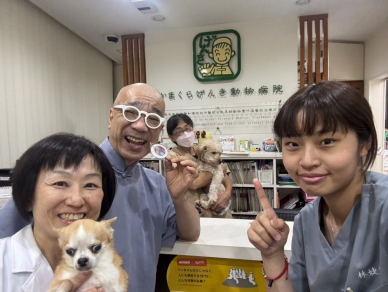 強化寵物中獸醫臨床治療知能  嘉大獸醫系薦送學生林婕宜  赴日動物病院臨床實習  見識犬用針灸圖譜