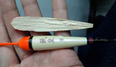 海保署推友善釣具認證制度盼守護海洋減少海廢