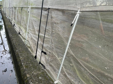 颱風樺加沙逼近高雄農改場籲農友加強防颱準備