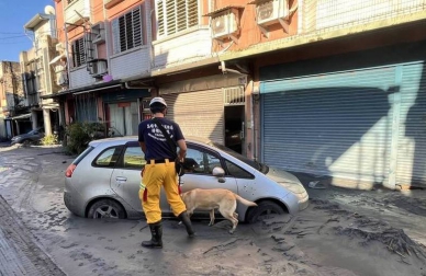 高雄特種搜救隊投入花蓮救災救出3人1犬