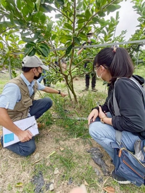 高市府農業局「高雄植醫來幫忙」專案獲獎