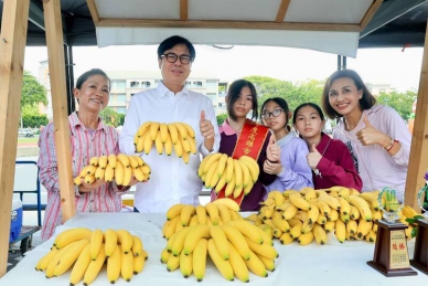 旗山蕉響樂登場陳其邁大讚旗山香蕉世界第一