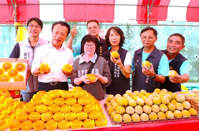 嘉義縣番路柿子節連假開跑 在地美味與活動吸引人潮