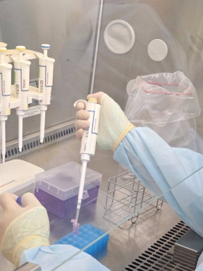 嘉義大學扛起非洲豬瘟防疫重任  啟動雲嘉南快速檢測與疫情應變  每天檢測量能可達1,000個檢體