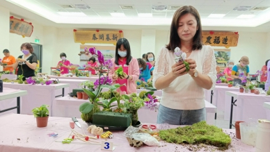 「苔球盆栽組合設計大賽」永靖農會登場。(照片記者林碧珠攝)