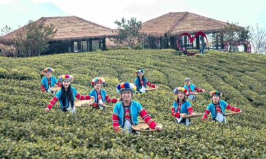 「2025嘉義縣部落旅遊節」12/6-7登場 邀您深入阿里山鄒族之旅〜