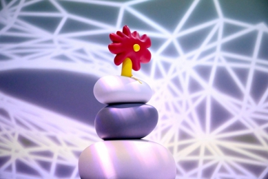 小石花IP｜榮獲 2025 Taiwan Design BEST 100年度設計，花蓮以在地文化設計展現城市地域新能量！