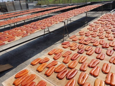 茄萣烏金大賞夕陽音樂會28日在興達港登場