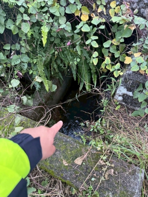 魂斷異邦｜34歲泰籍男子陳屍瑞穗水溝，警戳破非法雇主「路過發現」謊言！