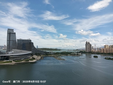 善良與力量的平衡.愚蠢與智慧的思考