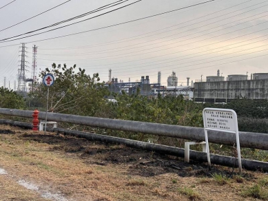 周姓男子為捕捉綠鬣蜥觸電灼傷送醫4家石化廠因而停電約5個小時恐將面臨賠