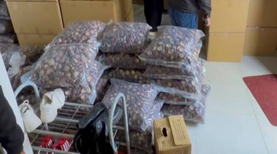 中國農產食品春節前大量走私來台