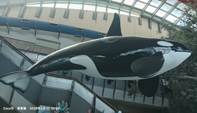 刪文作法——的重要性　可可放下、國立海洋生物博物館