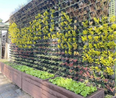 高雄投入千萬元獎勵社區減碳每單位最高補助50萬