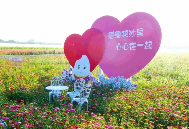 花現莿桐〜2026雲林莿桐花海節開幕 花海大道百日草、波斯菊與向日葵花海豔麗迎春 春節期間是最佳賞花時節〜