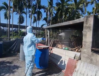 屏東查獲第6起餵廚餘　豬場吞40萬罰單