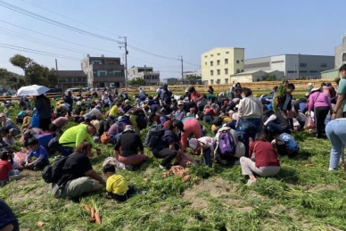 橘紅木棉花海迎春 將軍紅蘿蔔同樂會熱鬧登場