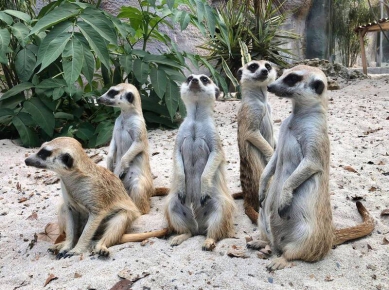 高雄兒童節推出必玩四大主場