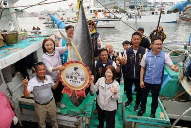 屏東第一鮪拍賣總價201萬4000元   為屏東黑鮪魚季揭開序幕