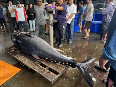 臺東黑鮪魚首尾彩頭 「盛泰豐號」漁船勇奪｜縣府頒發20萬元獎勵