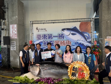 臺東縣第一尾黑鮪魚拍賣｜總價247040元高價拍出，饒慶鈴頒20萬獎金！